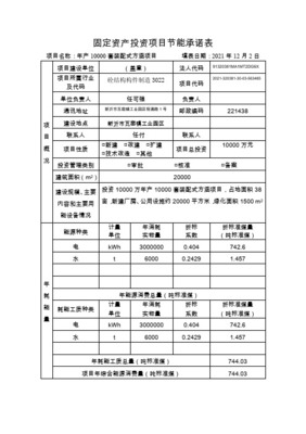 固定资产投资项目节能承诺表项目投资分析与填报指南